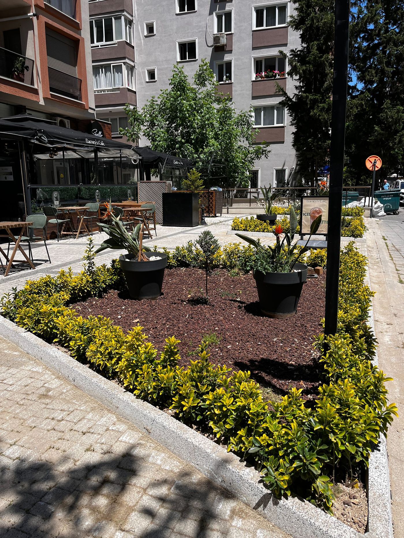 Şen Apartmanı dekoratif bitki ve süs taşı düzenlemesi