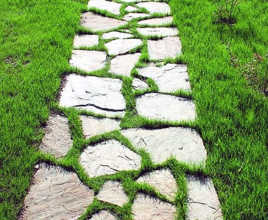 Kayrak taşı adım yolu
